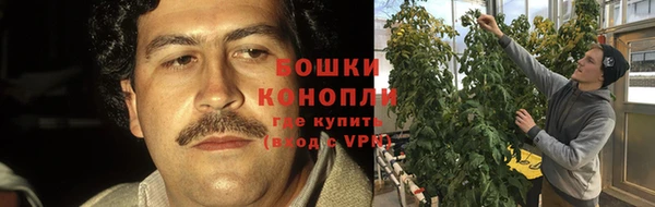 гашик Аркадак