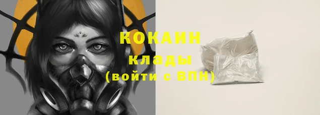 гашик Аркадак