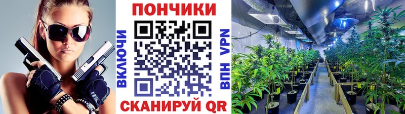 Конопля гибрид  продажа наркотиков  Нефтегорск 